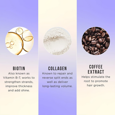 https://cdn.shopify.com/s/files/1/1857/6931/files/hMh30i0ZgS.png?v=1719401161